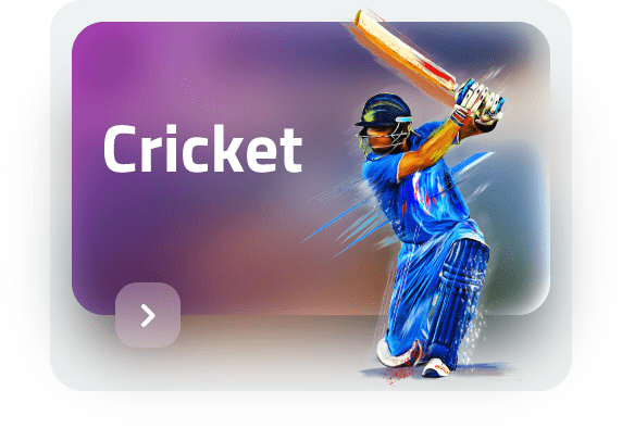 TigerExch365 cricket betting game card